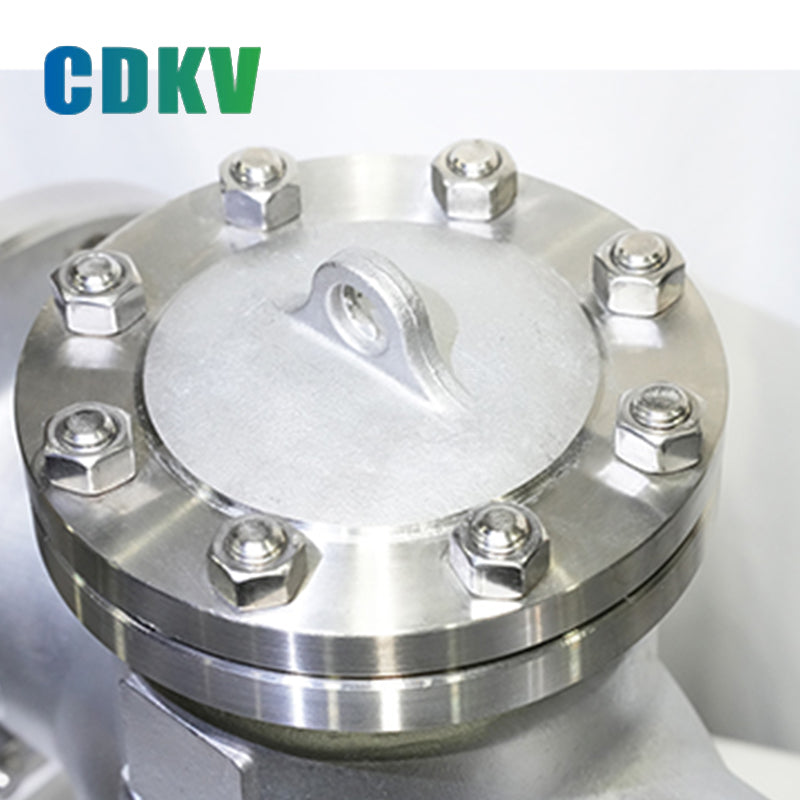 DAKE H41W Stainless steel lifting check valve, horizontal flange connection valve, single-phase check valve