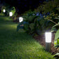 CHANGSHUN Solar lawn lamp CH8501M  Floor mounted stainless steel lawn lamp